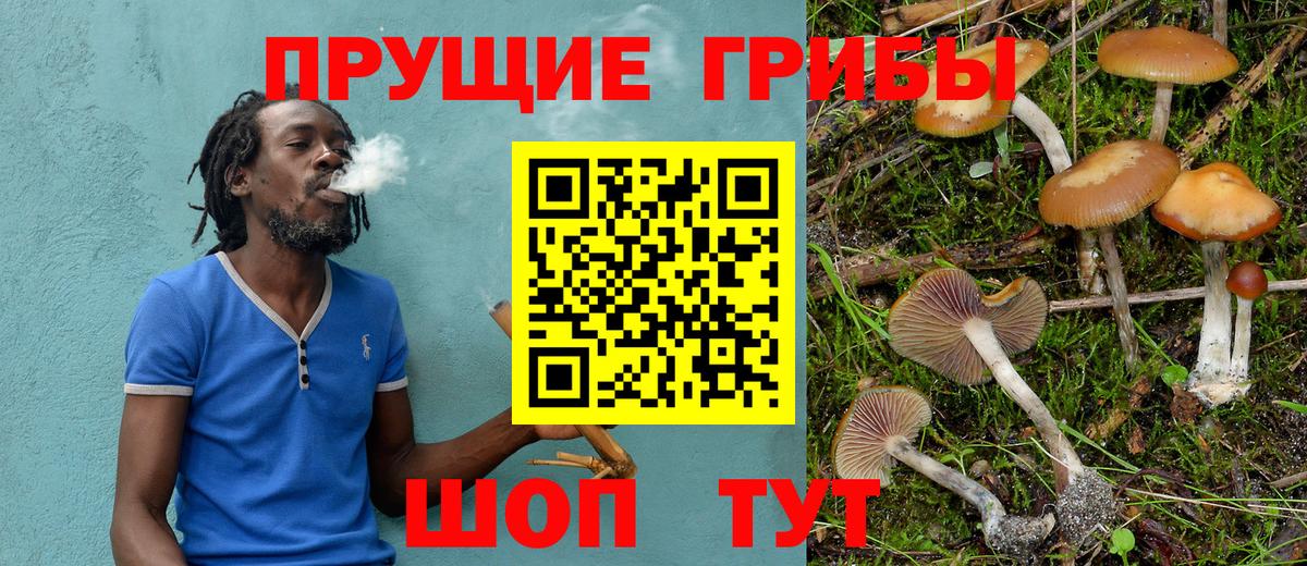 купить закладку  Псилоцибиновые грибы Psilocybine cubensis  Вход с VPN  Воронеж 